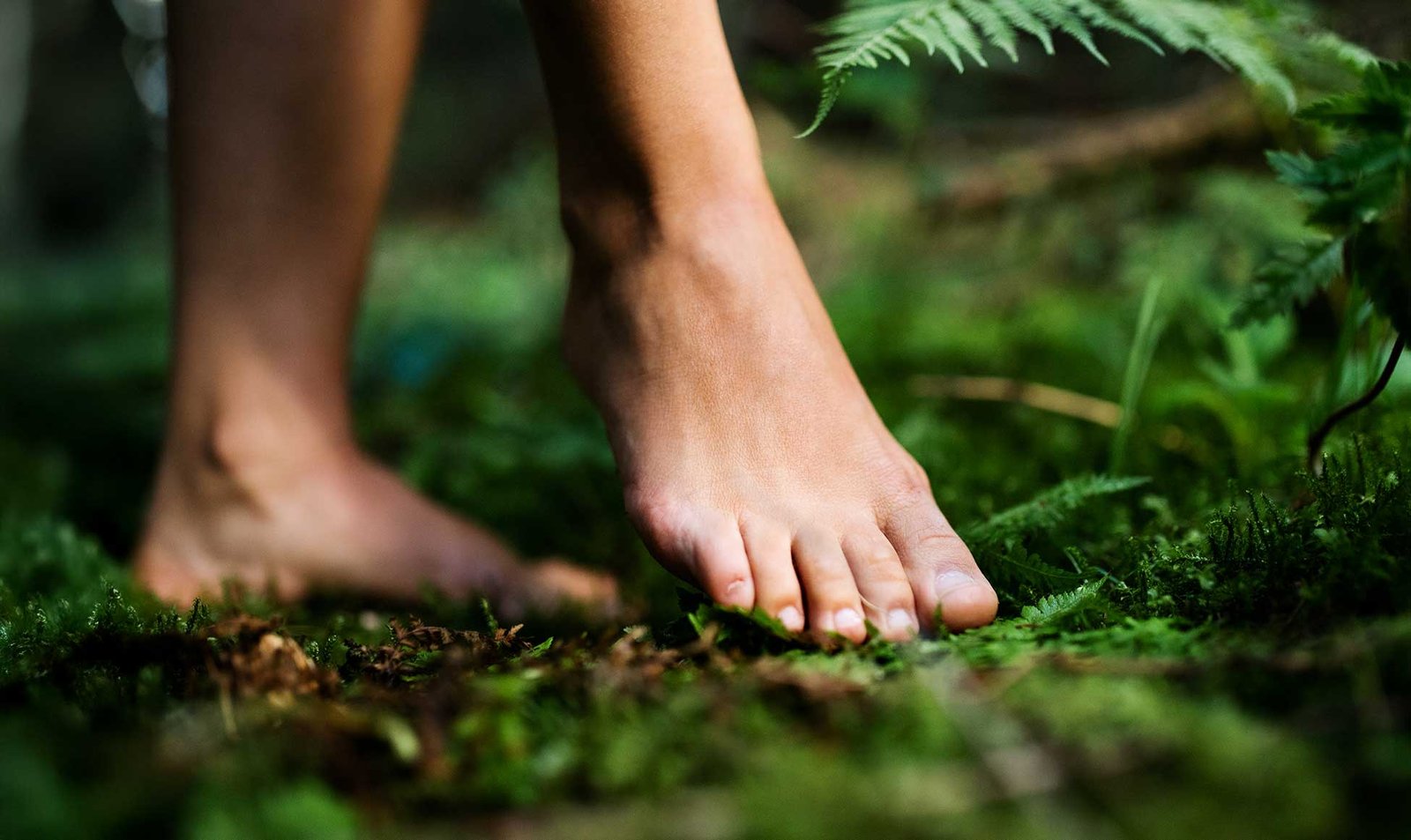 Paysage serein avec un chemin
