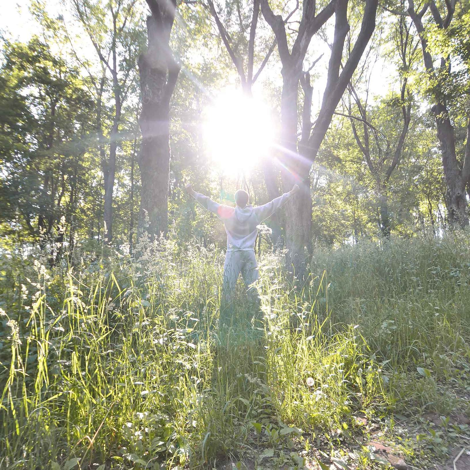 Illustration du parcours de formation