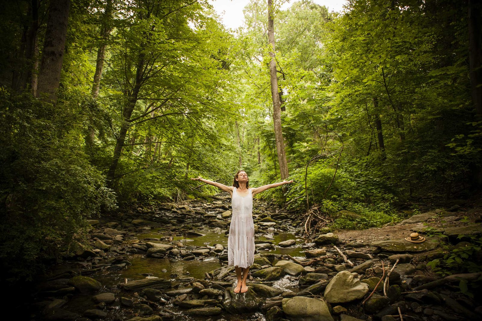 Un chemin sinueux en forêt symbolisant le parcours de vie